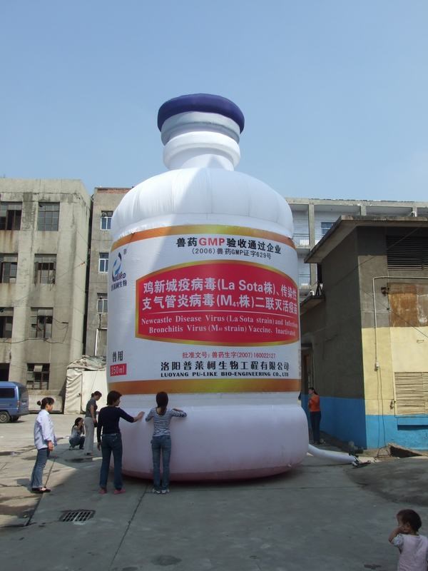 博鳌镇广告气模宣传